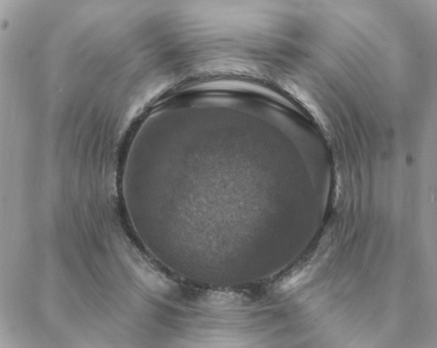 X0000088430399200705221252