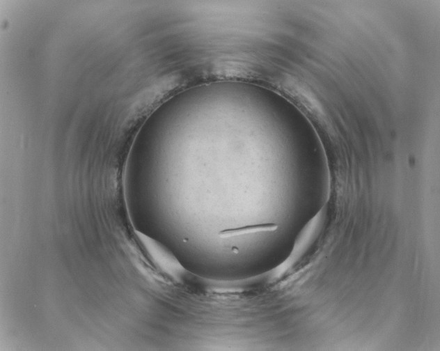 X0000088430401200705221252