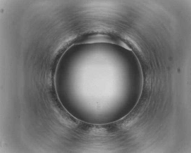 X0000088430403200705221252