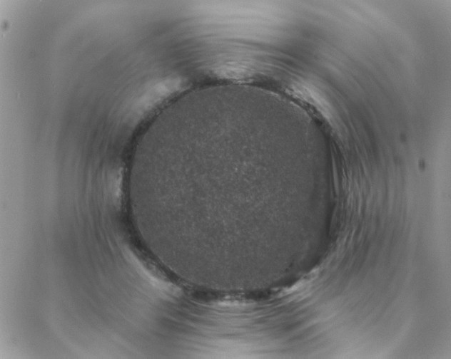 X0000088430404200705221252