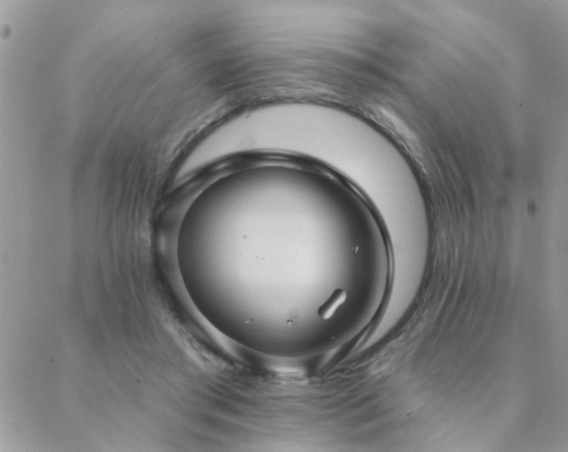 X0000088430405200705221252