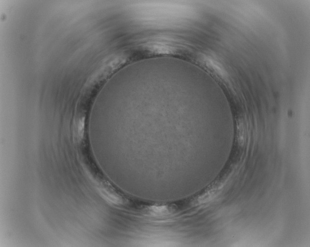 X0000088430406200705221252