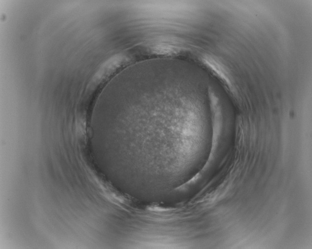 X0000088430407200705221252