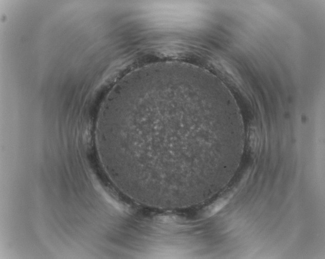 X0000088430408200705221252