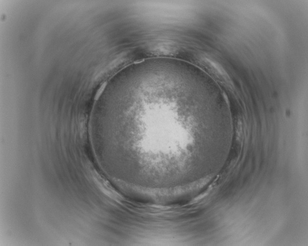 X0000088430409200705221252