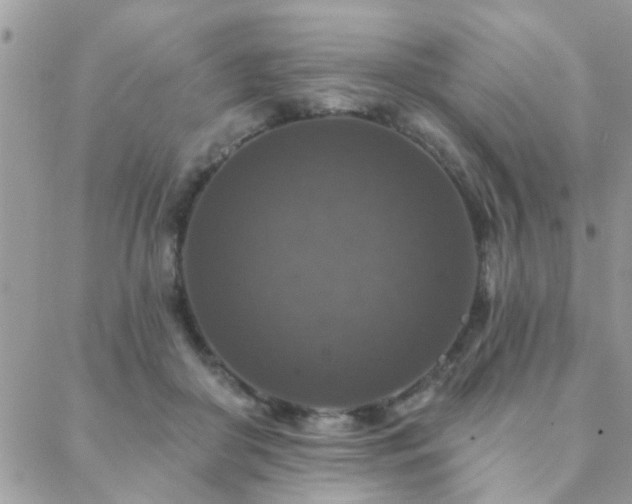 X0000088430410200705221252