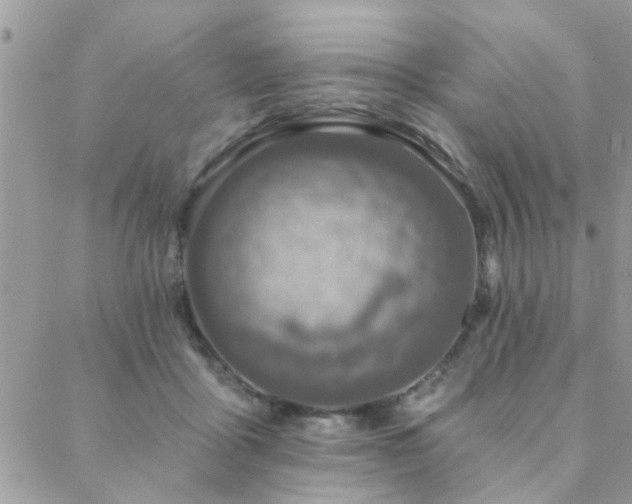 X0000088430411200705221252