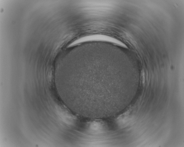 X0000088430412200705221252