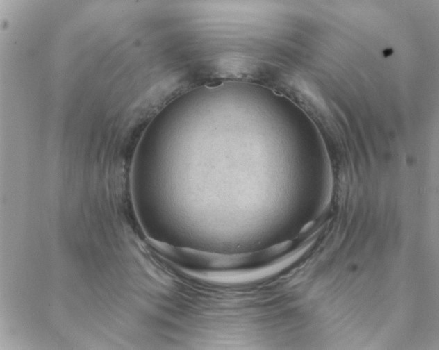 X0000088430413200705221252