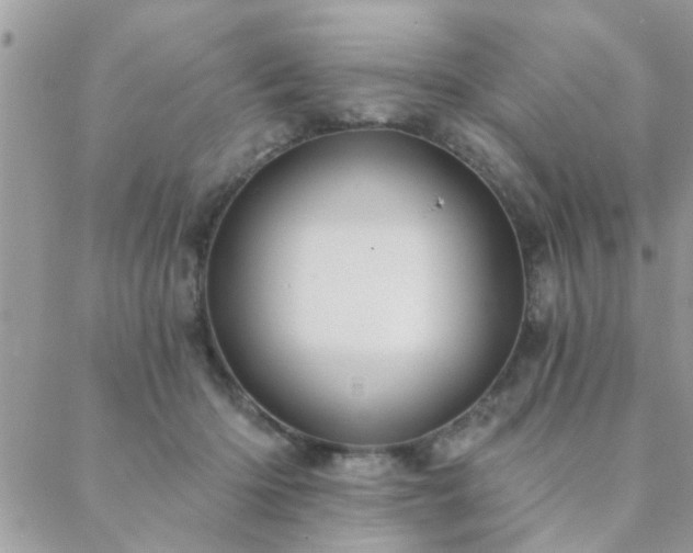 X0000088430414200705221252