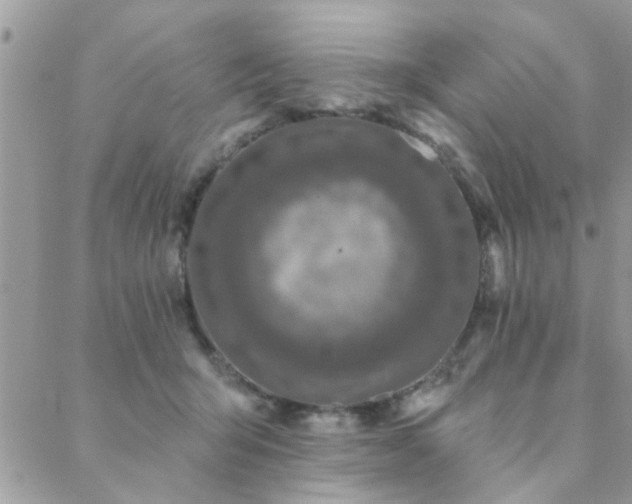 X0000088430415200705221252