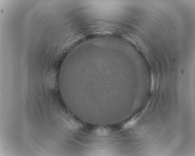 X0000088430416200705221252