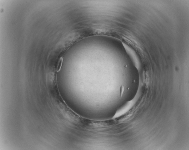 X0000088430417200705221252