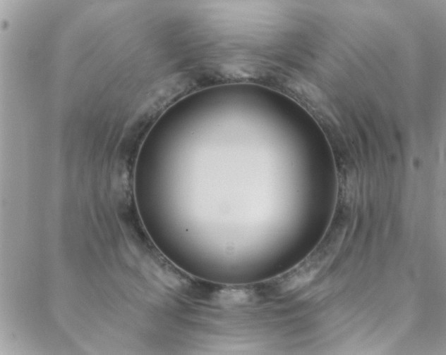 X0000088430418200705221252