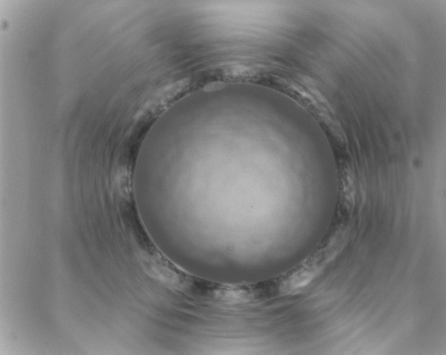 X0000088430419200705221252