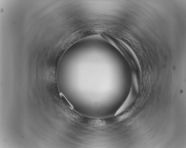 X0000088430421200705221252