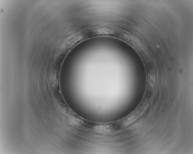 X0000088430422200705221252