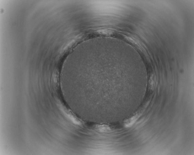 X0000088430424200705221252