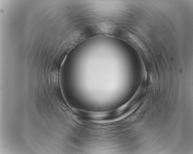 X0000088430425200705221252