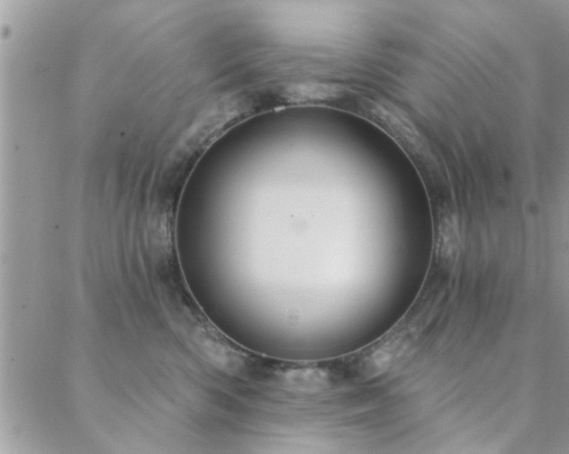 X0000088430426200705221252