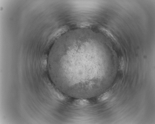 X0000088430427200705221252