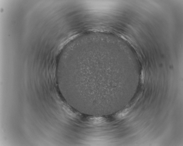 X0000088430428200705221252