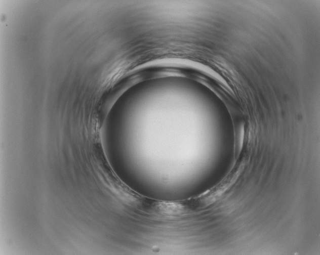 X0000088430429200705221252