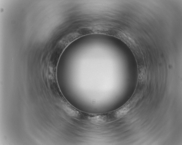 X0000088430430200705221252