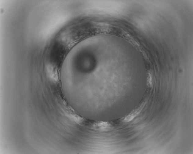 X0000088430431200705221252