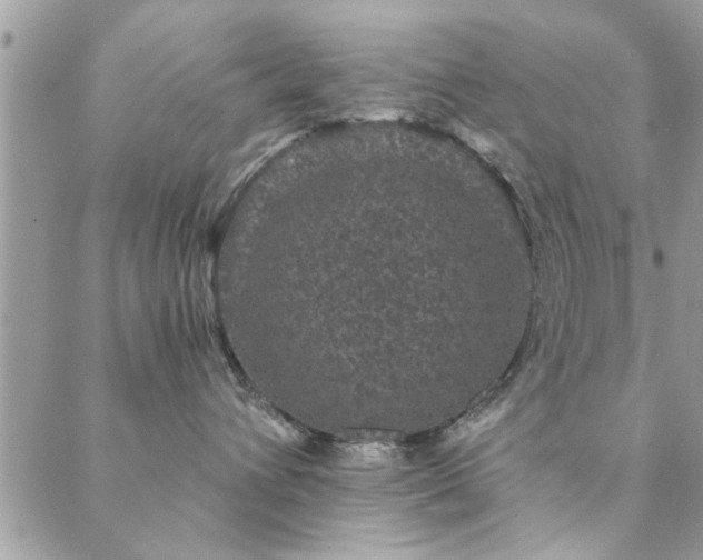 X0000088430432200705221252