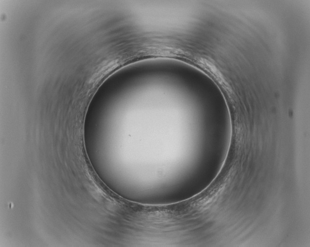 X0000088430433200705221251