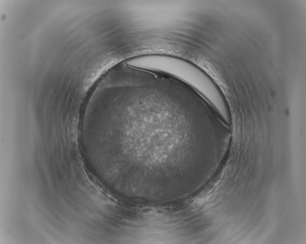 X0000088430434200705221251