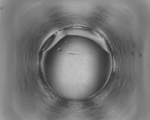 X0000088430435200705221251