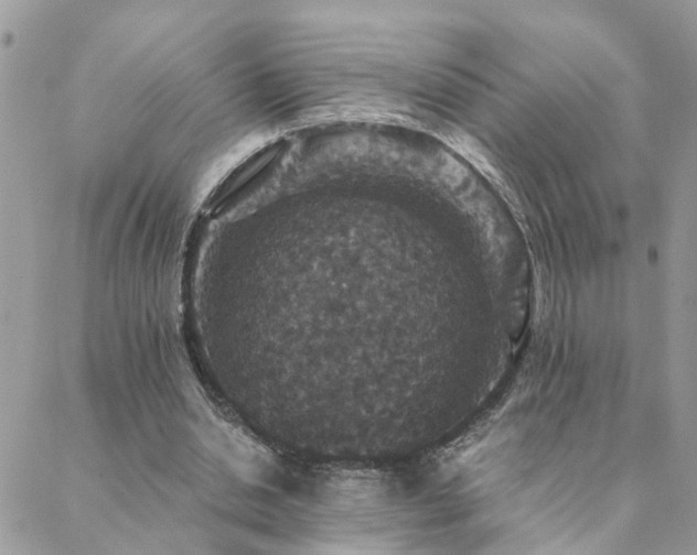 X0000088430438200705221251