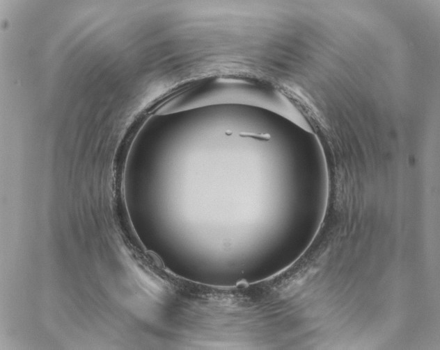 X0000088430439200705221251