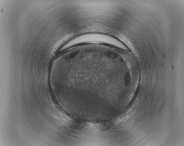 X0000088430442200705221251