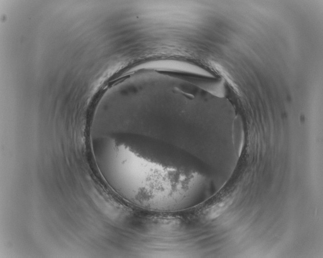 X0000088430443200705221251