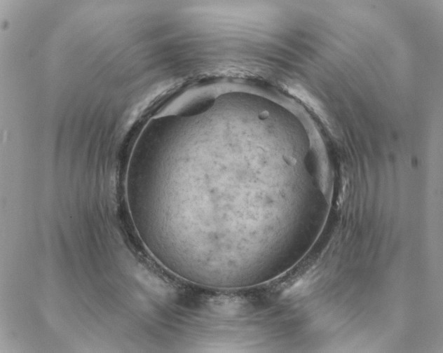 X0000088430444200705221251