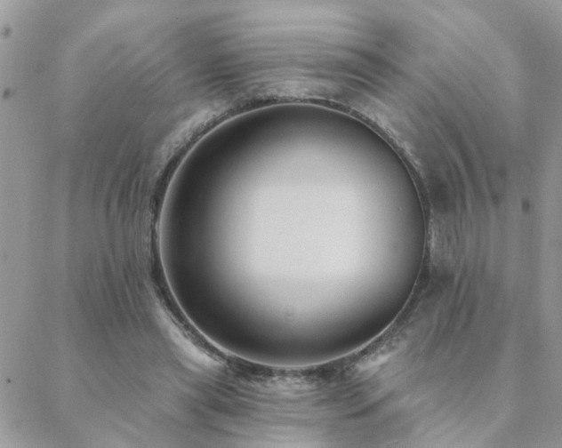 X0000088430445200705221251