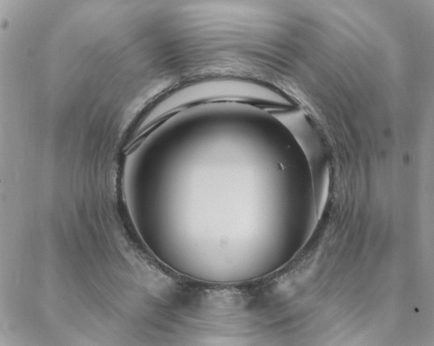 X0000088430446200705221251