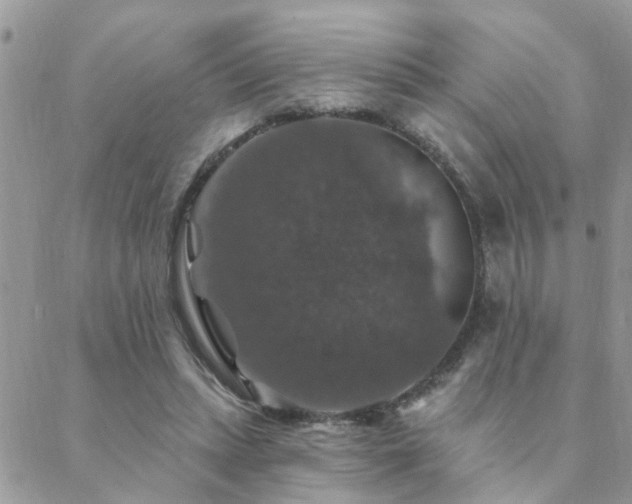 X0000088430447200705221251