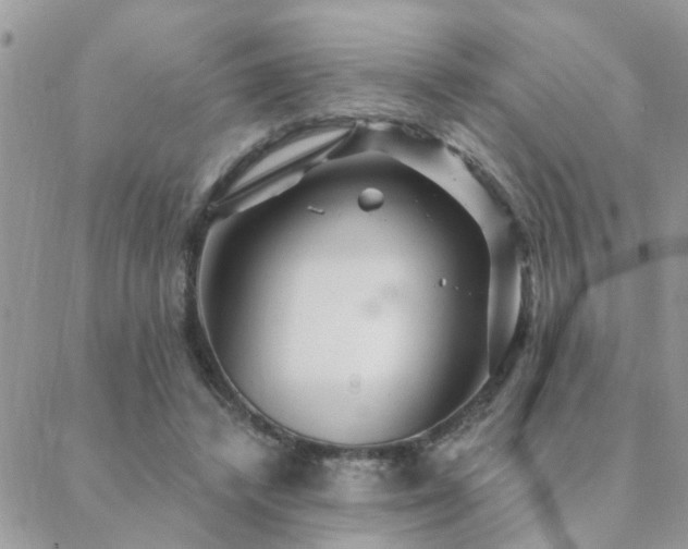 X0000088430448200705221251