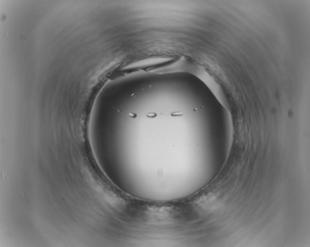 X0000088430450200705221251