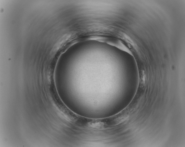 X0000088430452200705221251