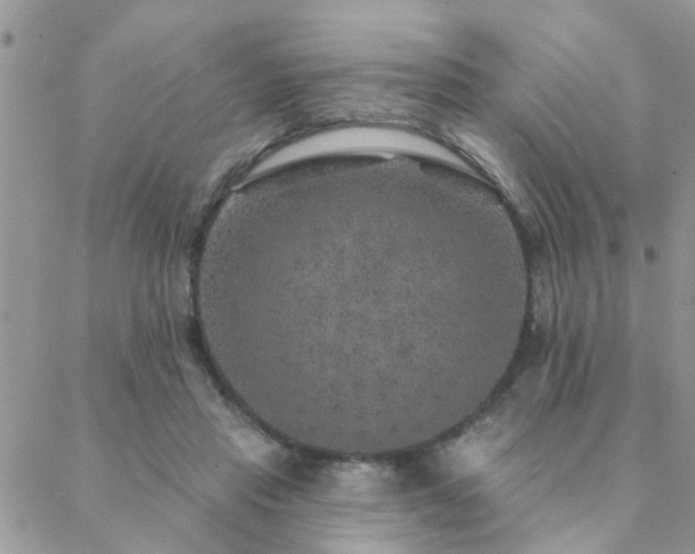 X0000088430453200705221251