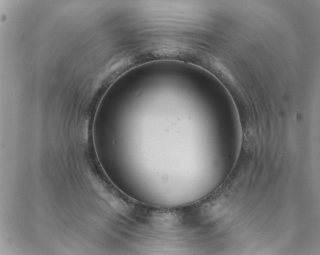 X0000088430454200705221251