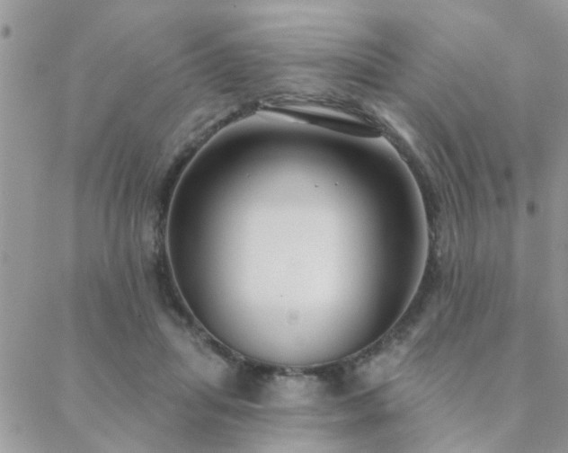 X0000088430455200705221251