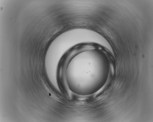 X0000088430456200705221251