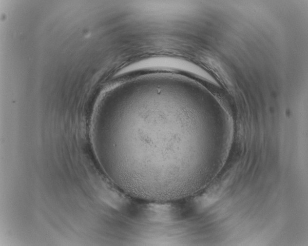 X0000088430457200705221251