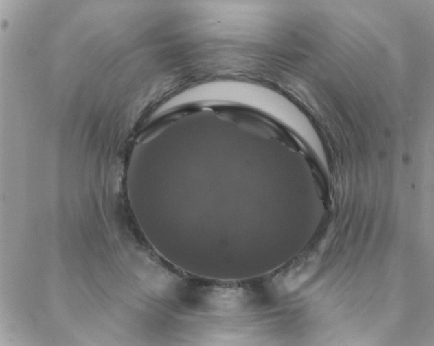 X0000088430458200705221251